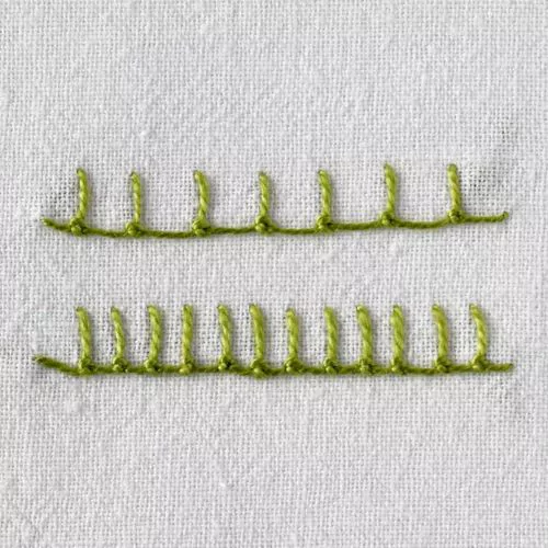 Bordure d’Anvers vue de face