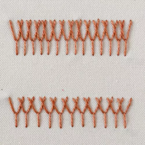 Mouche tressée petite image