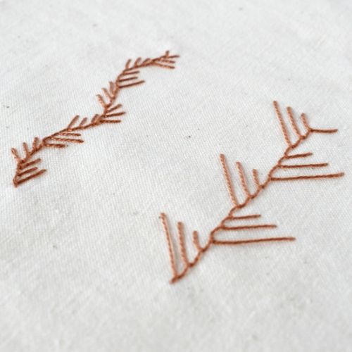 La pointe de Maidenhair